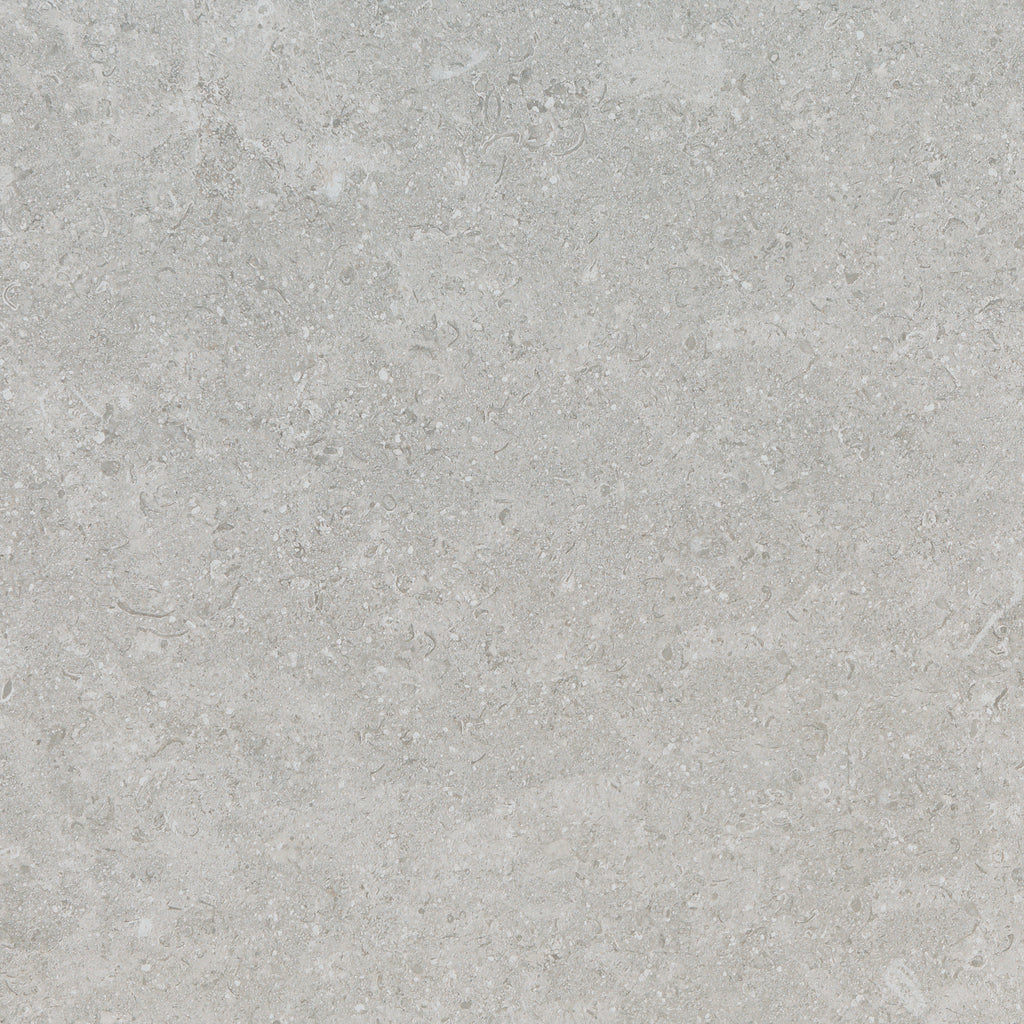 HTS0154 - Pietra  600mm x 600mm x 10mm Greige Floor image