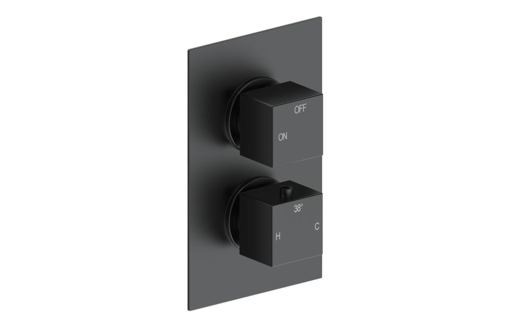 HOTT111402 - Cubica Thermostatic Single Outlet Twin Shower Valve - Matt Black image