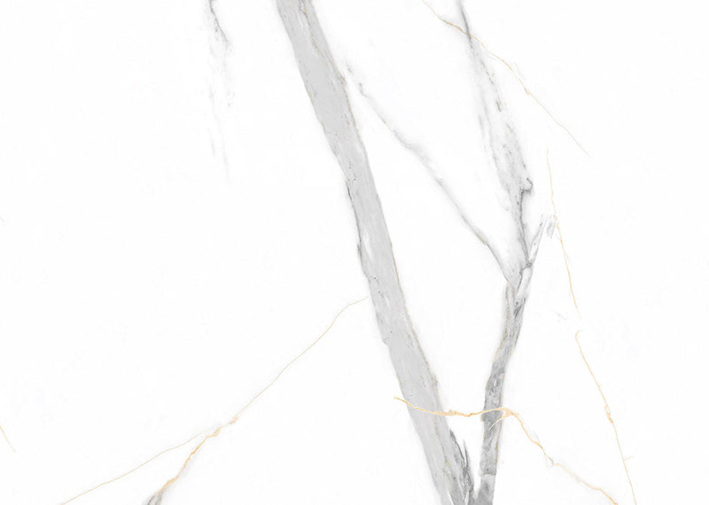 HOC1737 - Vilo Calacatta White image