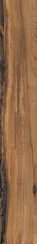 HTS0398 - Forest  150mm x 1000mm x 9.5mm Mahogany image