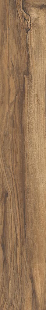 HTS0401 - Forest  150mm x 1000mm x 9.5mm Walnut image