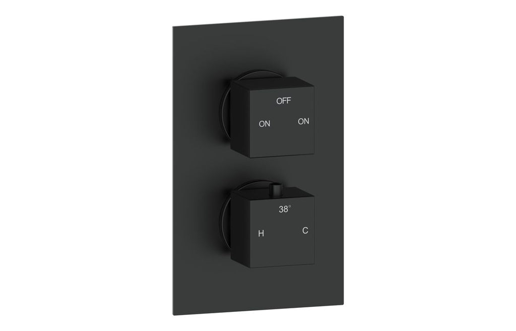 HOTT108591 - Cubica Thermostatic Two Outlet Twin Shower Valve - Matt Black image