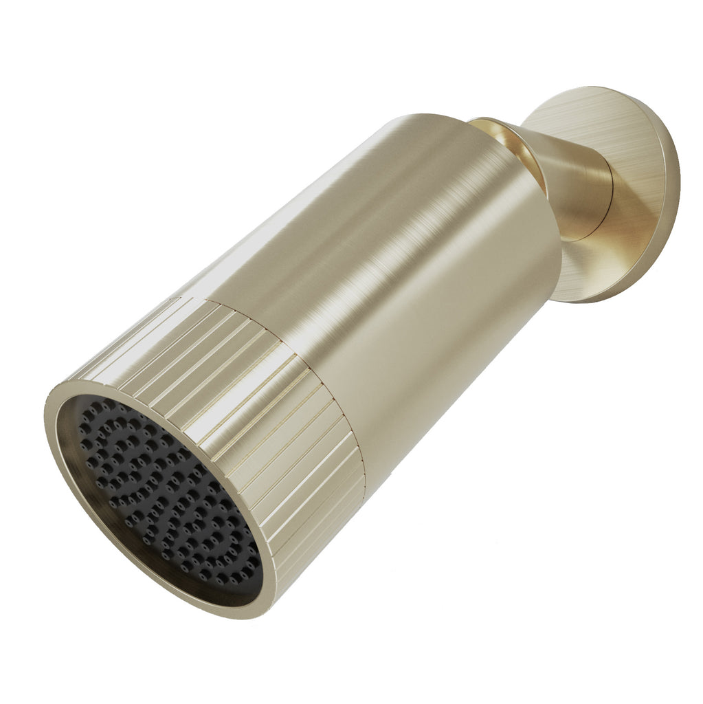 FR-490 - Forge Collection Romero Spotlight Shower Head - Brushed Brass image