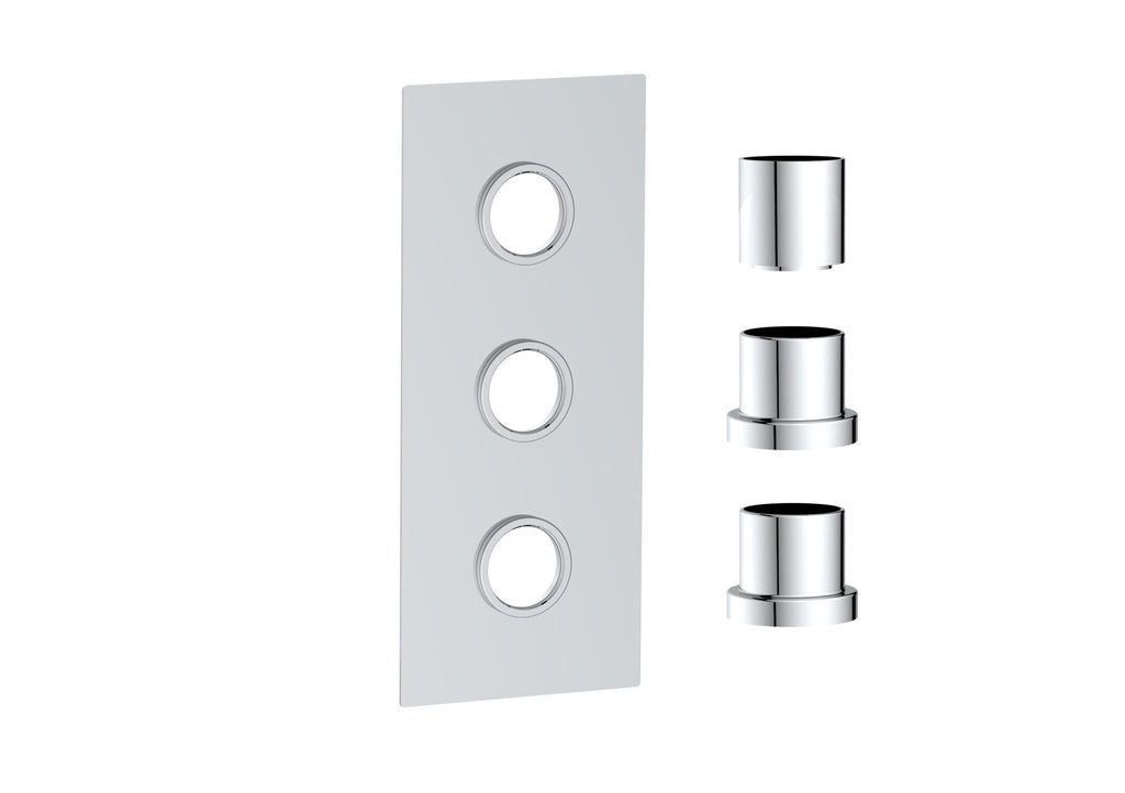 FR-539 - Forge Collection Concealed Plate (3 outlets) - Chrome image