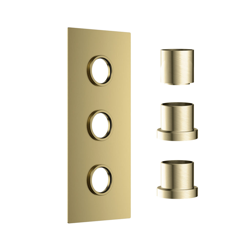 FR-541 - Forge Collection Concealed Plate (3 outlets) - Brushed Brass image