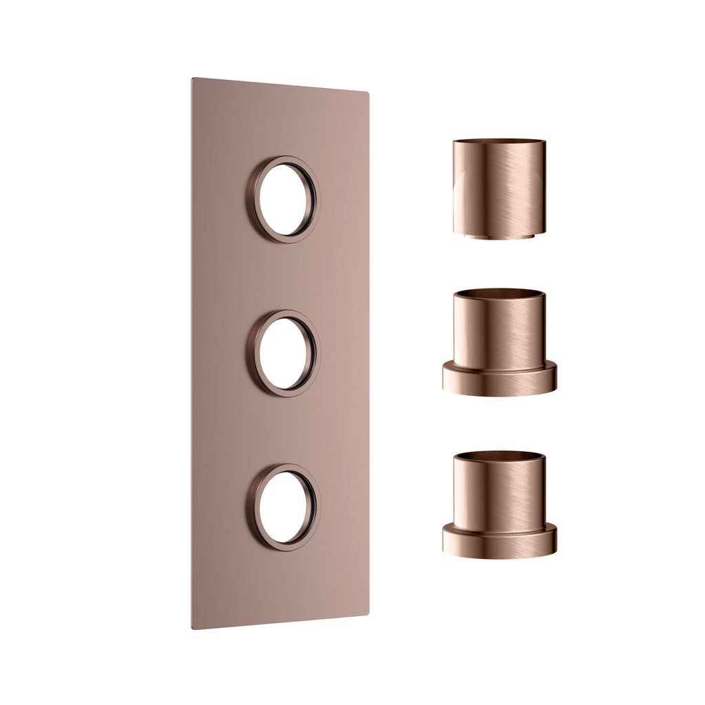FR-542 - Forge Collection Concealed Plate (3 outlets) - Brushed Bronze image