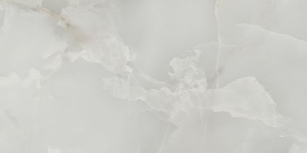 HTS0319 - Onyx  300mm x 600mm x 10mm Lux Light Grey image